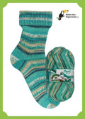 Opal Rainforest 21 6-ply Sock Yarn