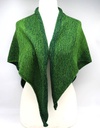 Philodendron, Yarn Gradient