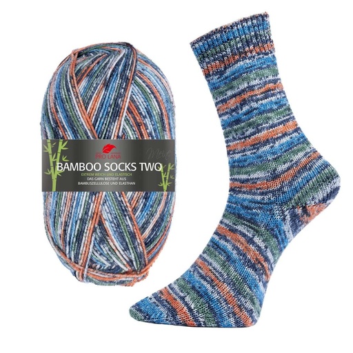 Pro Lana Bamboo Socks color 100g TWO Sort